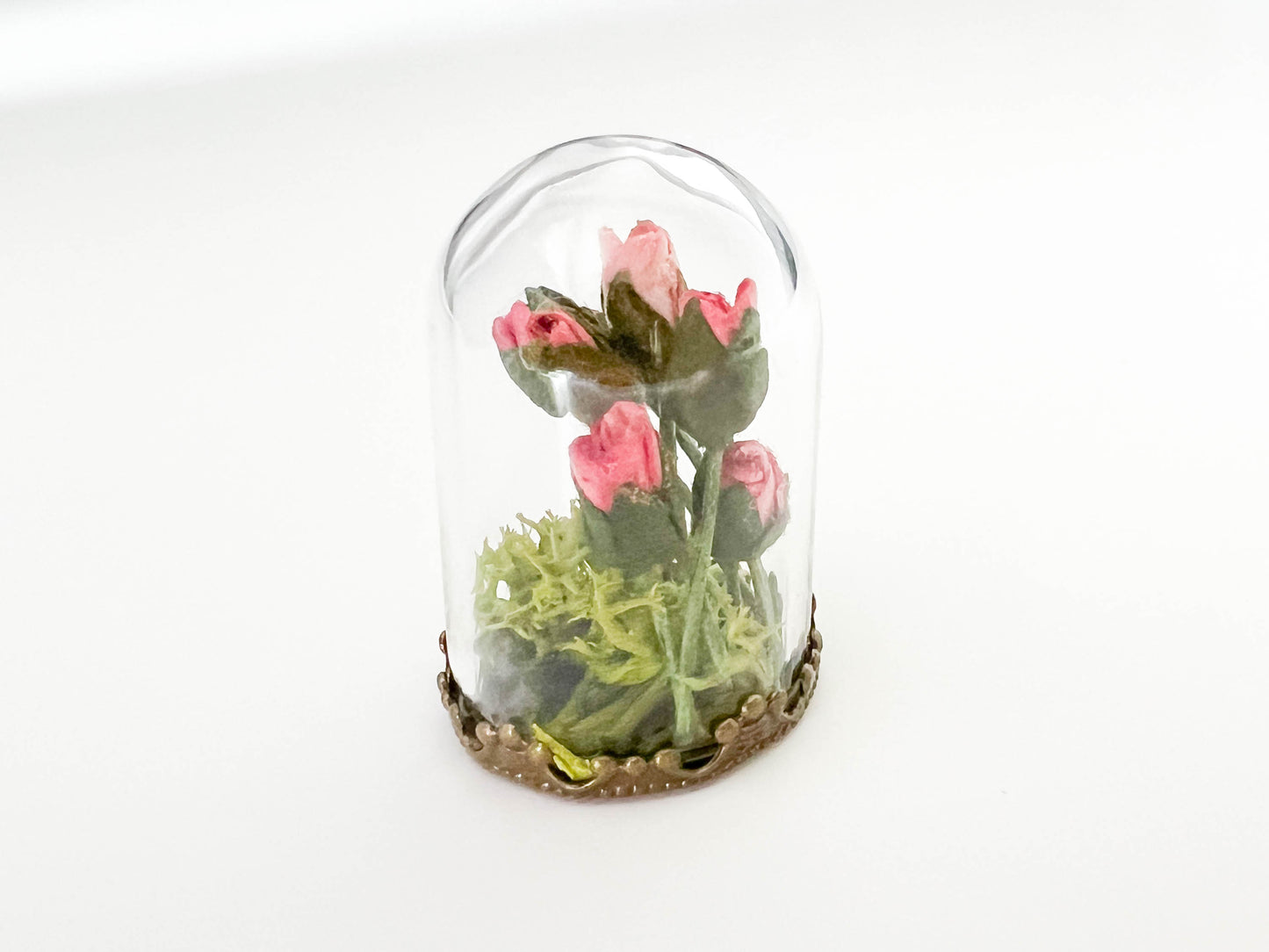 Roses in a glass bell jar cloche decoration