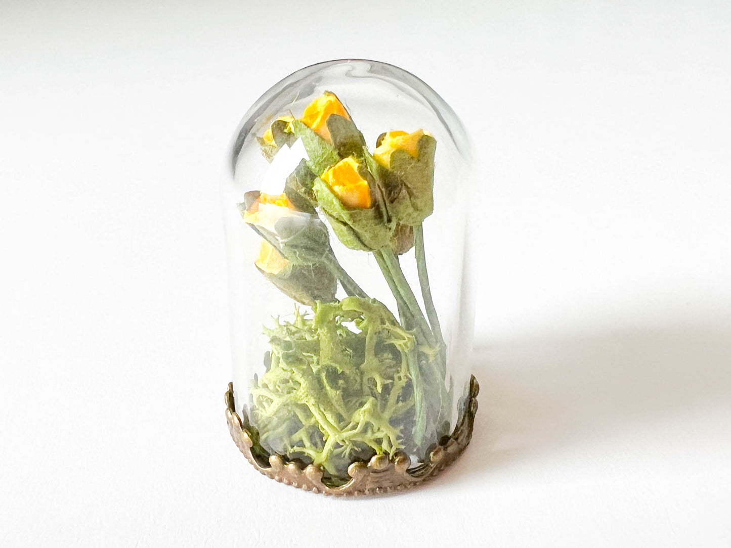 Roses in a glass bell jar cloche decoration